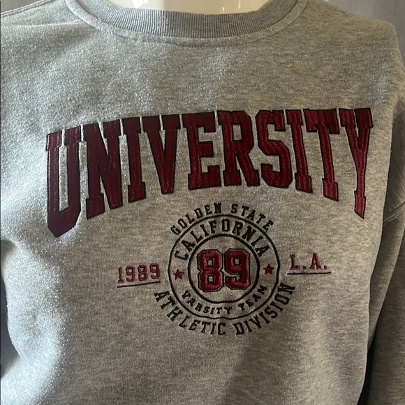 Gray University Kids Sweatshirt - Picture 3 of 5
